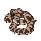 snake 3